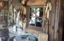 20190626_101406_Richtone(HDR)