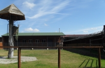 SDC12253