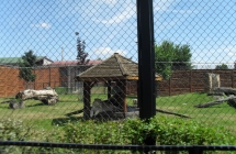 SDC12252
