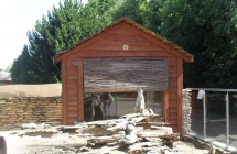 SDC12236