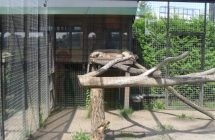SDC12251